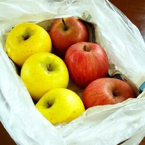 大量購入の林檎✿上手に保存でおいしさ長持ち
